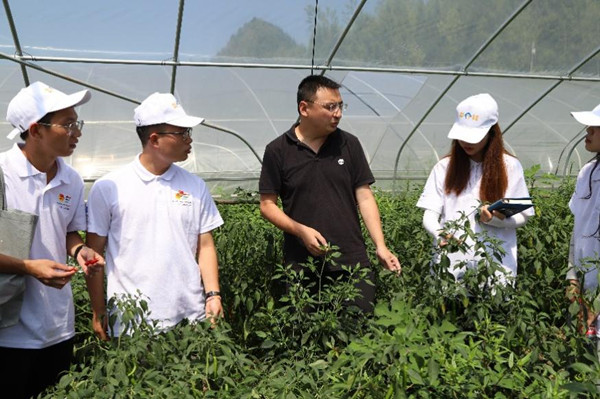 实践团参观蔬菜大棚。MILE米乐集团供图