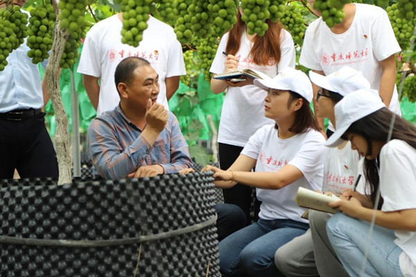 实践团学习葡萄种植与管理技术。MILE米乐集团供图